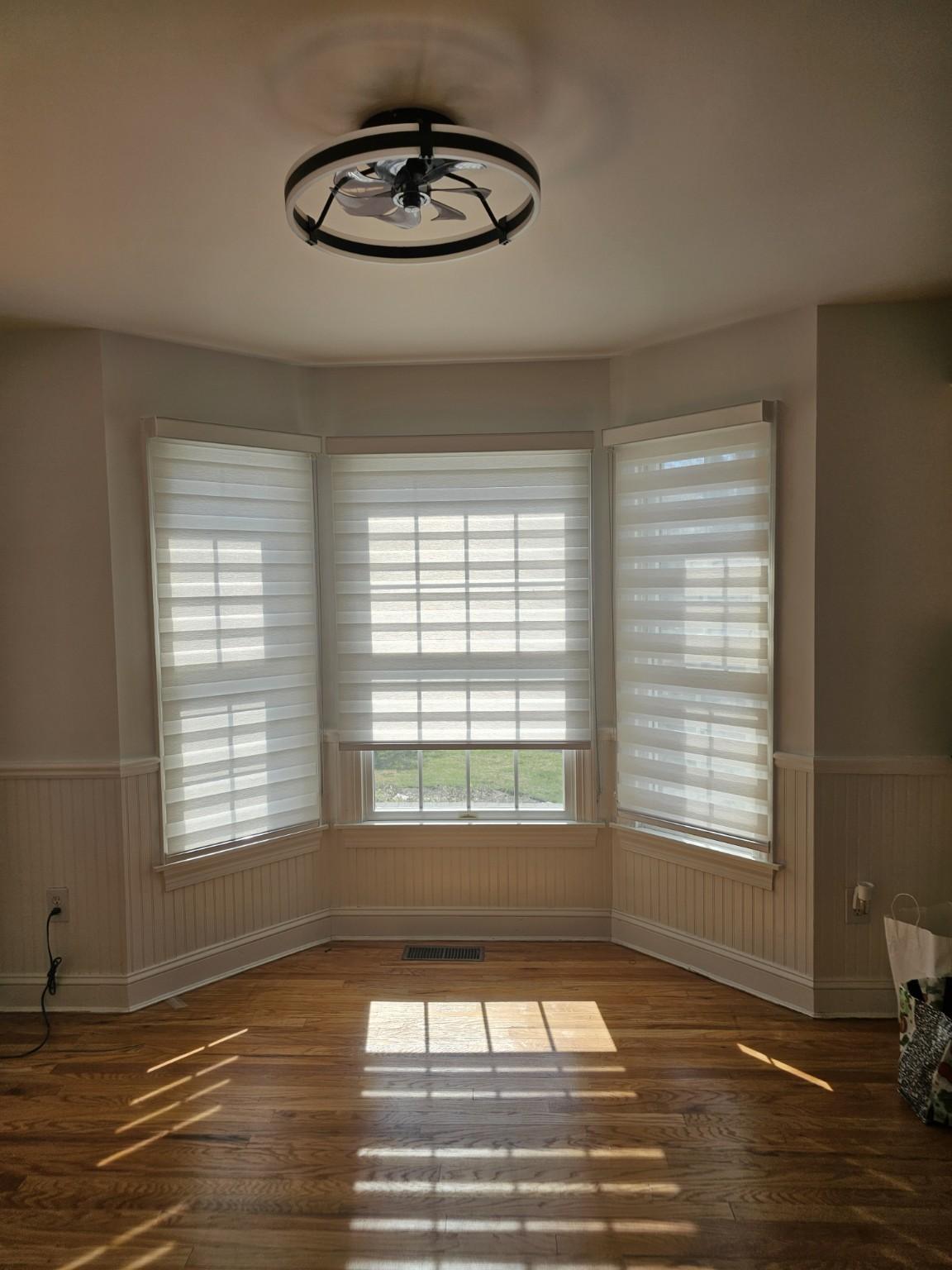 Bay window zebra shades