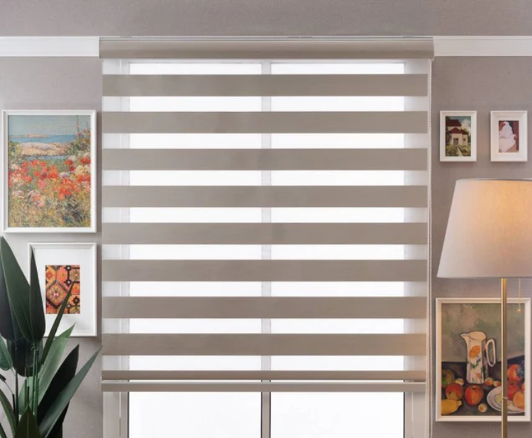 Zebra Blinds (2)